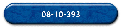 08-10-393