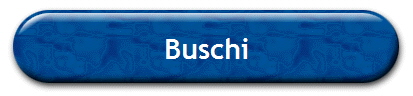 Buschi